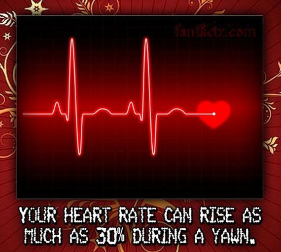 facts_01