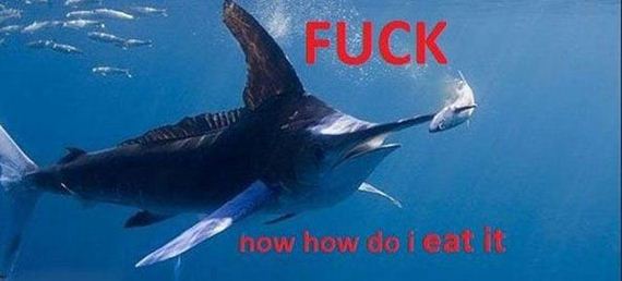 fails