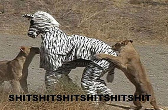 fails