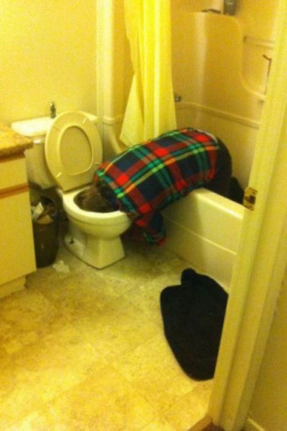 fails