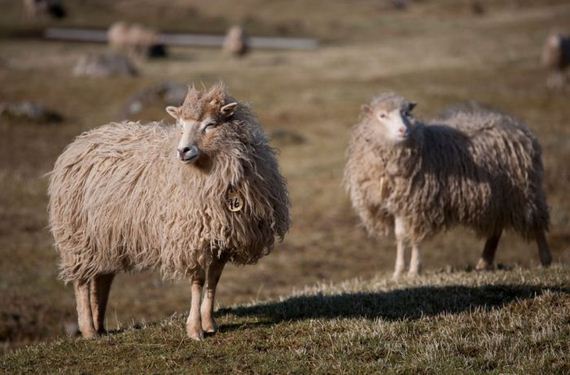 faroe-islands-33-pics