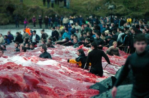 faroe-islands-33-pics