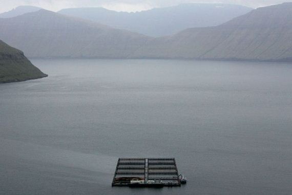 faroe-islands-33-pics