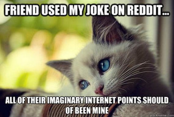 first_world_problems_cat