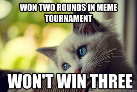 first_world_problems_cat