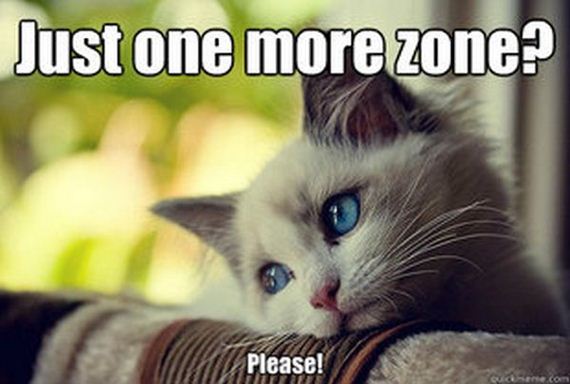 first_world_problems_cat