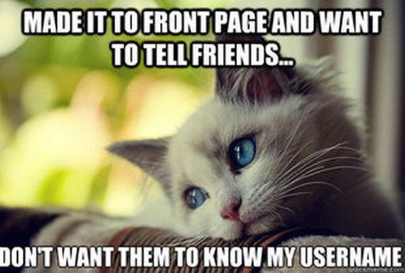 first_world_problems_cat