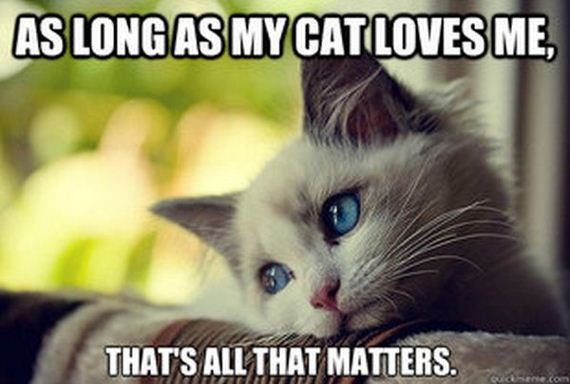 first_world_problems_cat