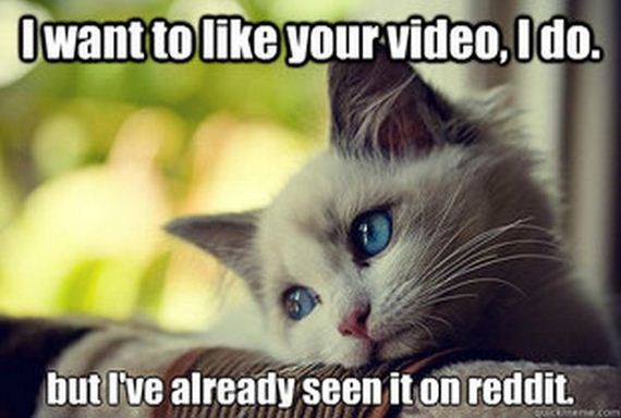 first_world_problems_cat