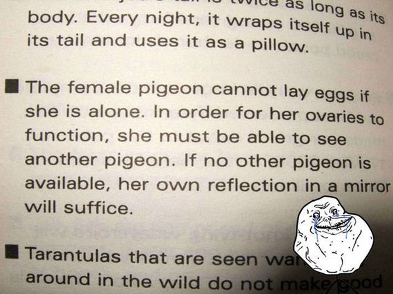 forever-alone-part