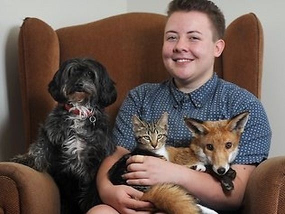 foxes-people-keep-pets