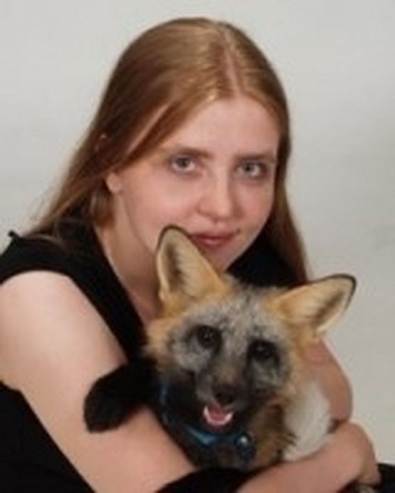 foxes-people-keep-pets
