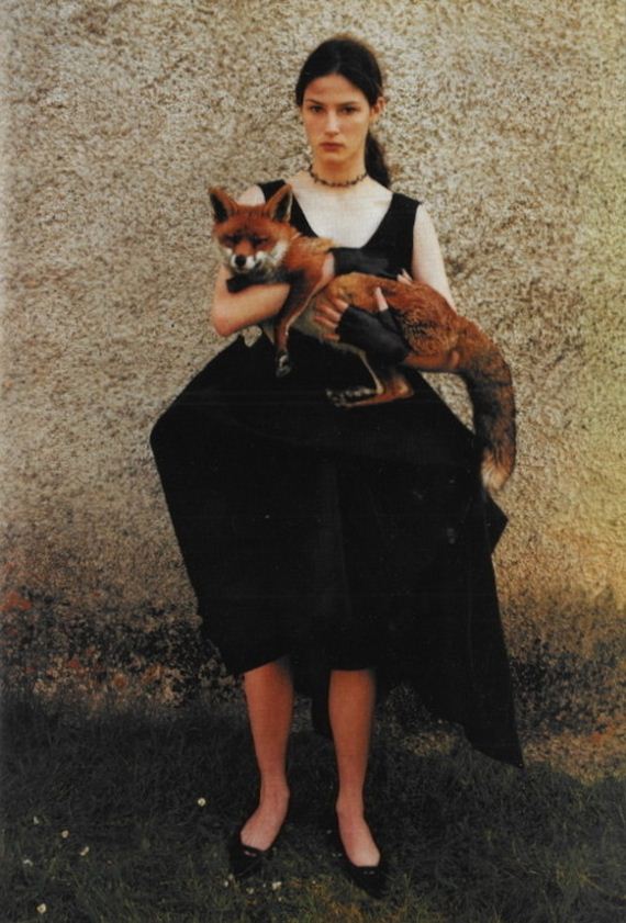 foxes-people-keep-pets