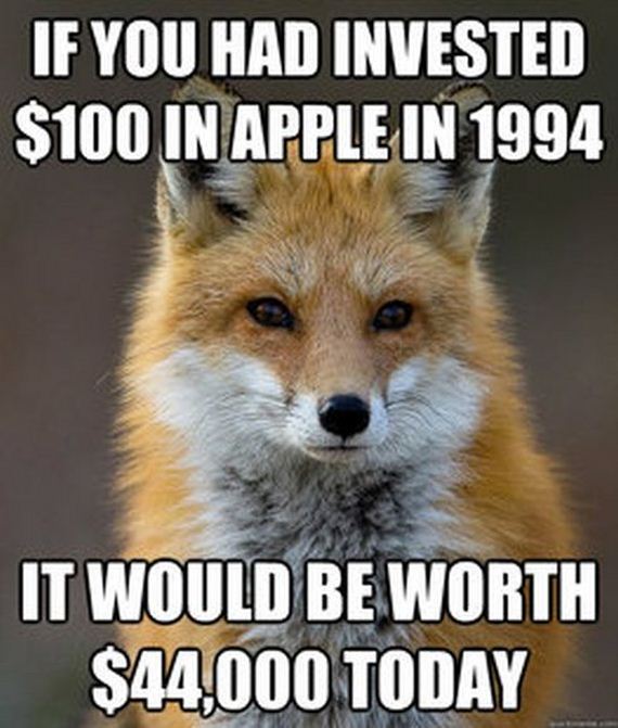 fun_fact_fox