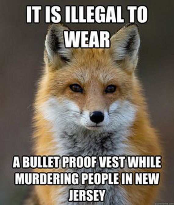 fun_fact_fox