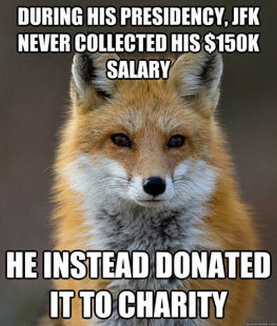 fun_fact_fox