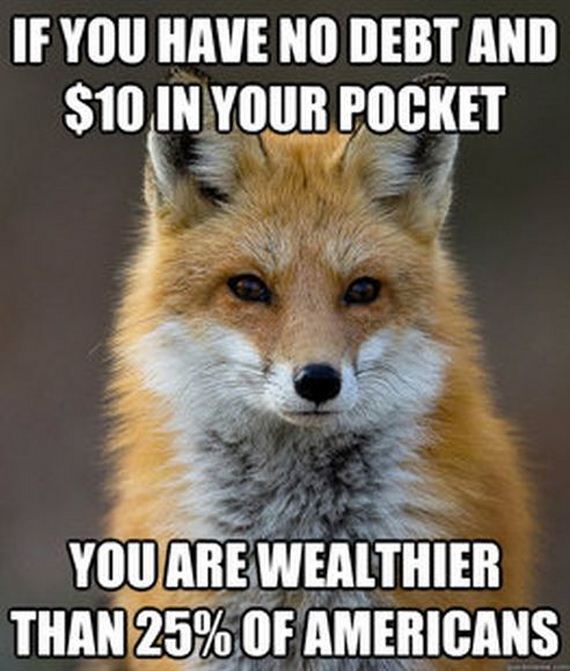 fun_fact_fox