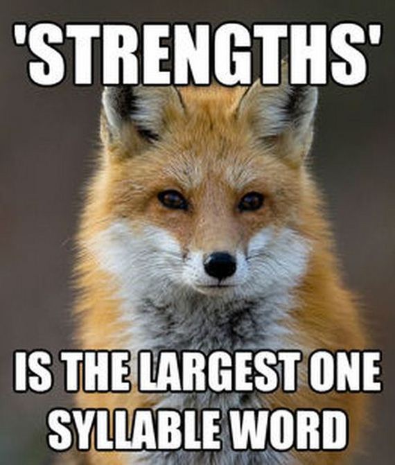 fun_fact_fox