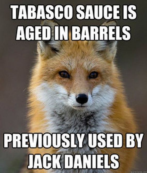 fun_fact_fox