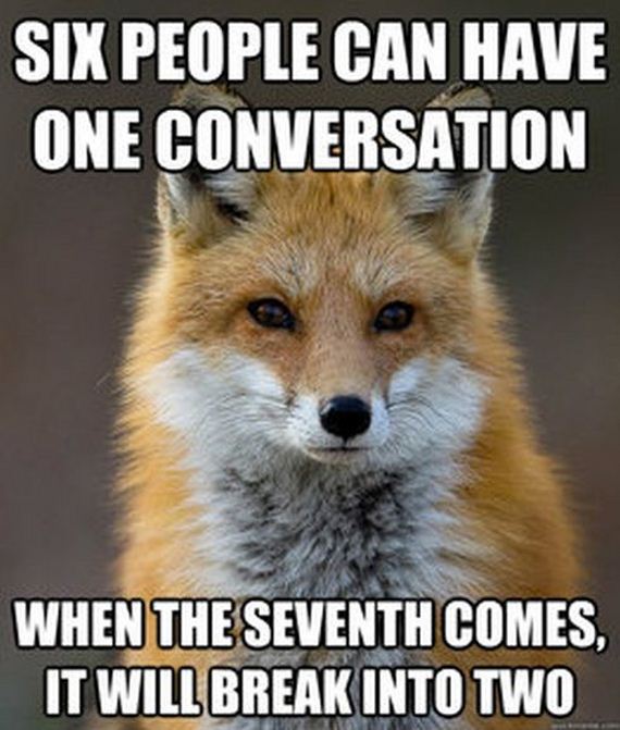 fun_fact_fox