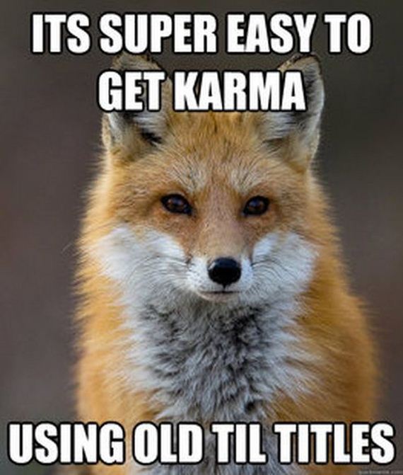 fun_fact_fox