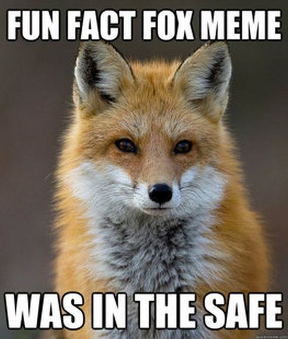 fun_fact_fox