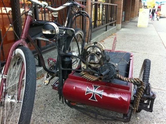 funny-pictures-294