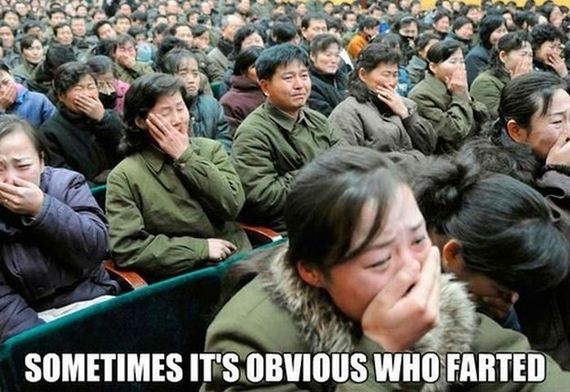 funny-pictures-294