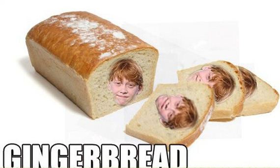 funny-pictures-294