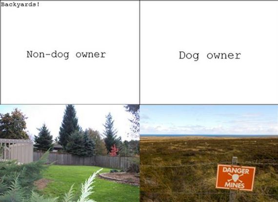 funny-pictures-294