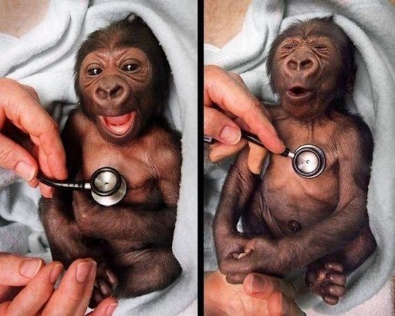 funny-pictures-294