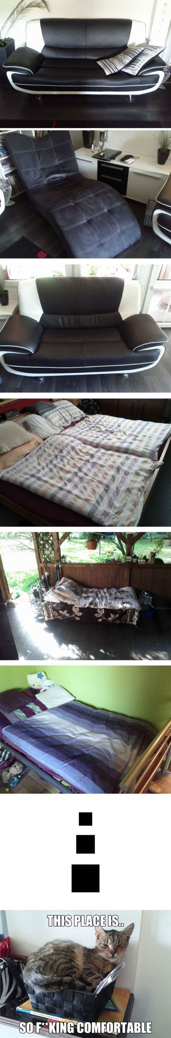 funny-pictures-296