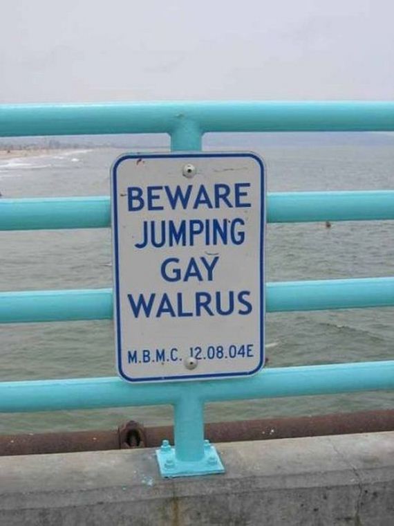 funny-pictures-296