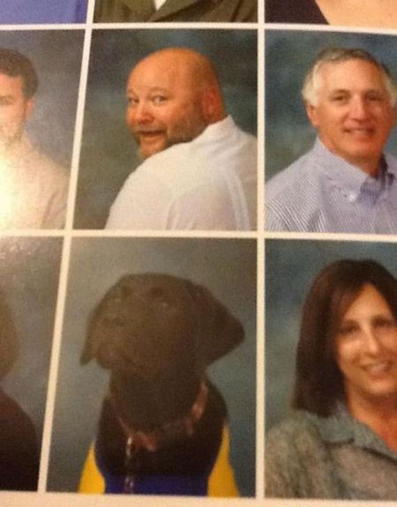 funny-pictures-296