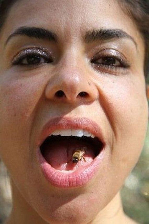 funny-pictures-296