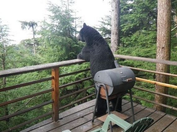 funny-pictures-296