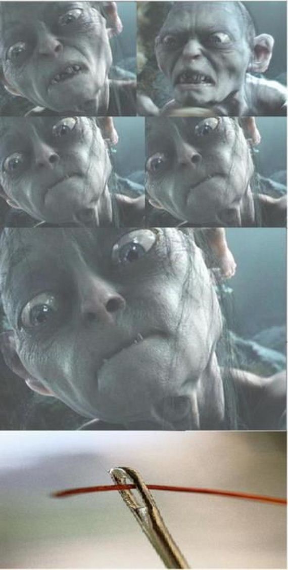 funny-pictures-296