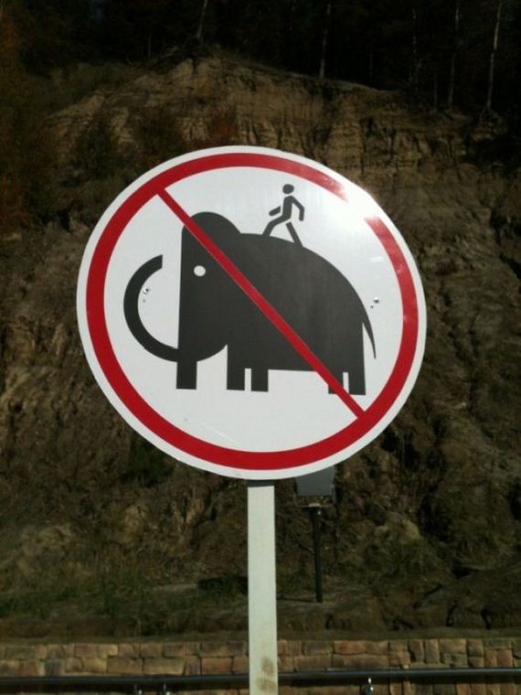 funny-pictures-298