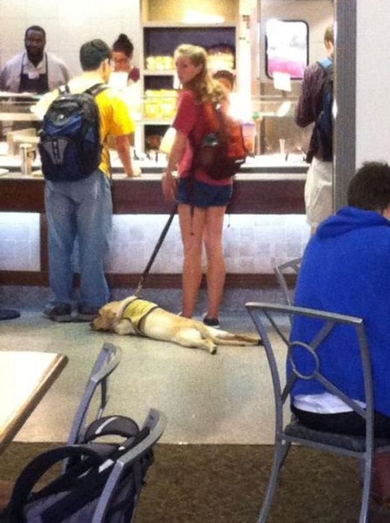funny-pictures-298