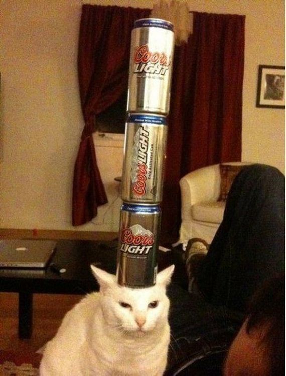 funny-pictures-298