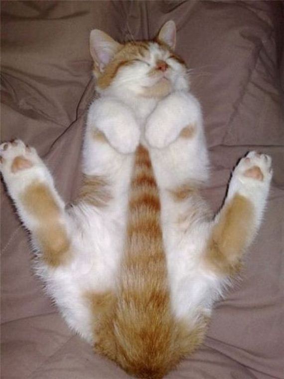 funny-pictures-298
