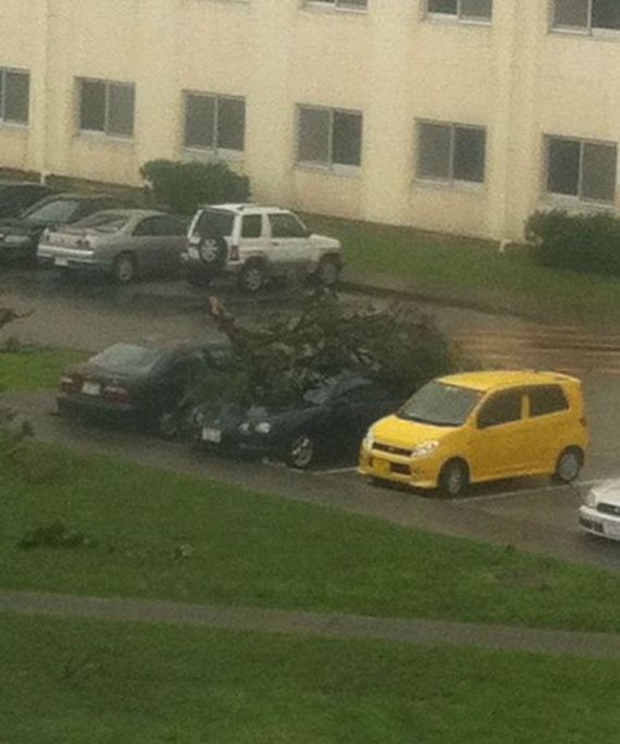 funny-pictures-298