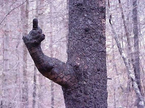 funny-pictures-299