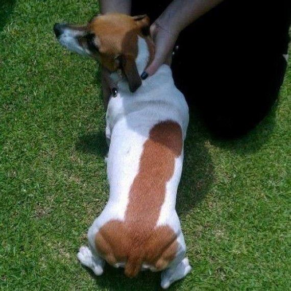 funny-pictures-299