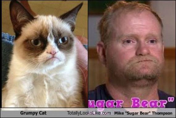 funny-pictures-299
