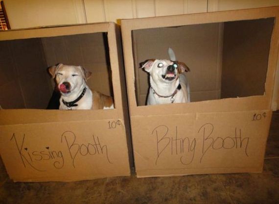 funny-pictures-299
