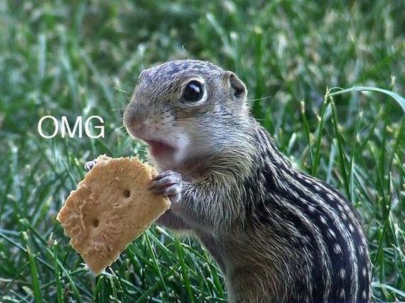 funny-pictures-299