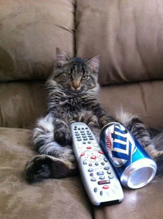 funny-pictures-299
