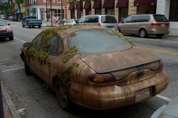 funny-pictures-299