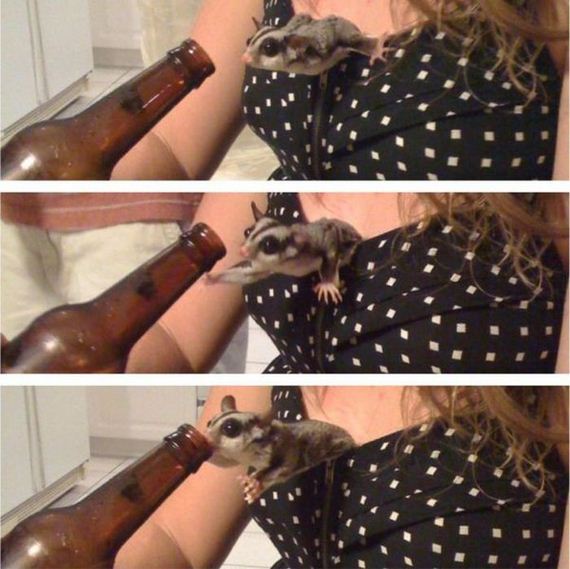 funny-pictures-300